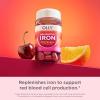 OLLY Delightful Iron Chewable Tablet, Iron Supplement from AB Fortis, Fruit Punch Flavor, 30 or 20 Day Supply – 60 Count(1 Count (Pack of 60))