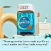 OLLY Goodbye Stress Gummy, GABA, L-Theanine, Lemon Balm, Stress Relief Supplement, Berry – 42 Count(60 Count (Pack of 1))