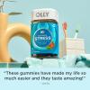 OLLY Goodbye Stress Gummy, GABA, L-Theanine, Lemon Balm, Stress Relief Supplement, Berry – 42 Count(74 Count (Pack of 1))