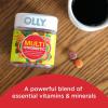 OLLY Multi + Probiotic Adult Multivitamin Gummy, 1 Billion CFUs, Digestive and Immune Support Chewable Supplement, Tropical Twist, 35 Day Supply – 70 Count