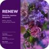 OLLY Renew Body Lotion-Serum with Vitamin D, Retinol & Botanicals – Nourishing Cleanser for Skin Barrier Repair, Deep Hydration, Jasmine Bergamot Scent, 8oz