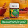 OLLY Kids Friendly Fiber Gummy, Digestion Support,* 3g Prebiotic Fiber FOS, Kids Chewable Supplement, Berry Brilliant Flavored, 25 Day Supply – 50 Count